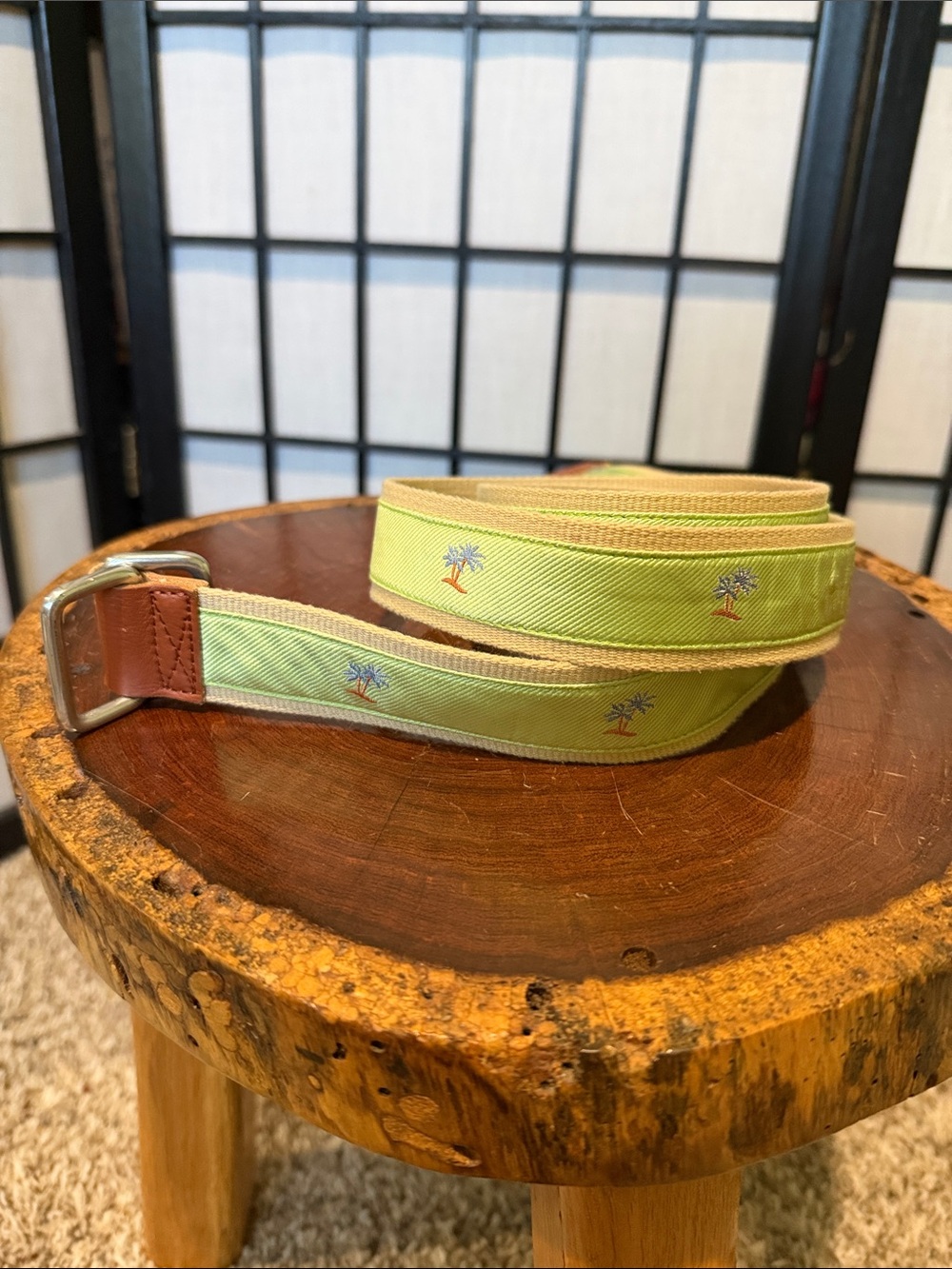 J McLaughlin Lime Palm-Embroidered Webbing Belt Medium Designer Osterville Prepp